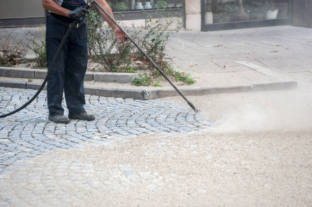 Best Dumpster Area Cleaning  in Temple City, CA