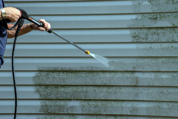 Best Driveway Pressure Washing  in Temple City, CA